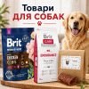 Товари для собак